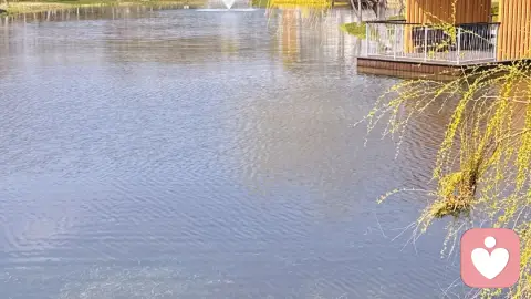 《找回你的生命礼物》