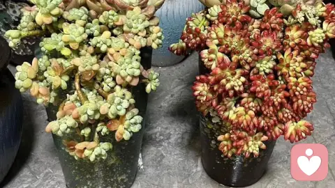 听懂感情里的沉默，才是成年人最高级的共情