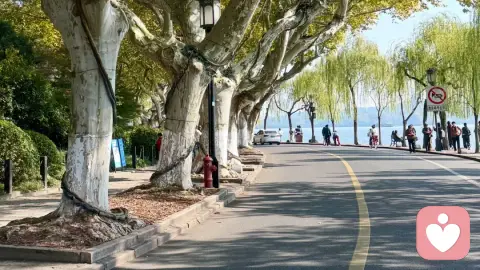 《向下生根，向上开花》