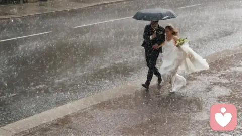 《我们为什么被霸凌》