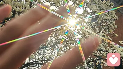 情绪不是洪水猛兽，而是你最忠实的信使：写给正在情绪中挣扎的你