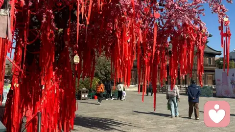 真正厉害的人，都懂得“战略性放弃”