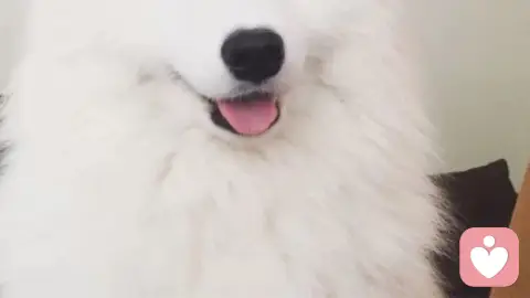 以温柔以待之共生