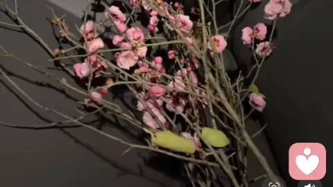 64岁发现老公出轨20年，我用了三年走出了痛苦的泥潭！（粉丝投稿）