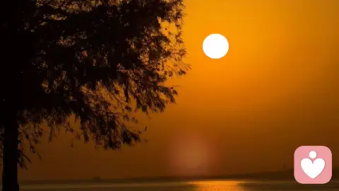 如何走出失恋阴影