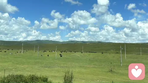 将“差异”所带来的痛苦转化为“成长”的养分