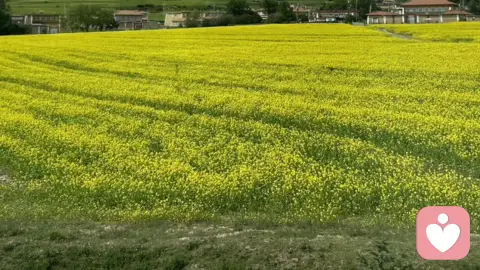 为什么“道理都懂”，却依然被情绪困住？