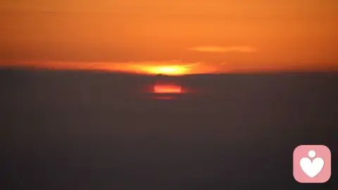 为什么你总是离不开伤害你的人