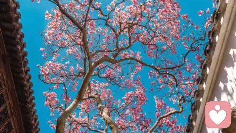 看过的书、走过的路、认识的人