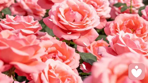 为什么有人宁愿宅家不出门？心理学：低质量社交，正在毁掉你的精神能量