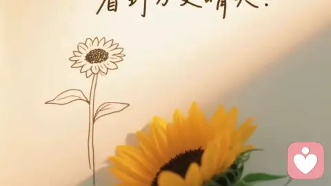 所有的最好，都不如刚刚好