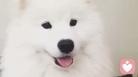 以温柔以待之共生