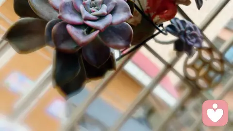 后来，我终于在眼泪中明白，有些爱一旦错过就不在……