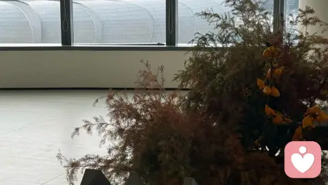 爱，是市场的唯一免费区？