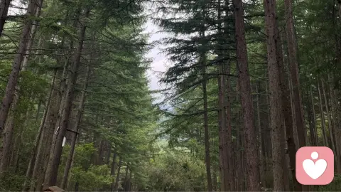 焦虑型人格：从原生家庭束缚到情绪自由