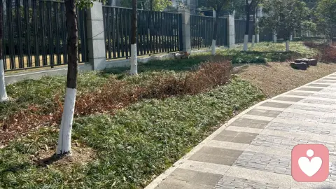 爱你的人是不会轻易放手的，但真的爱你的人也不会不放手 万物都有两面性