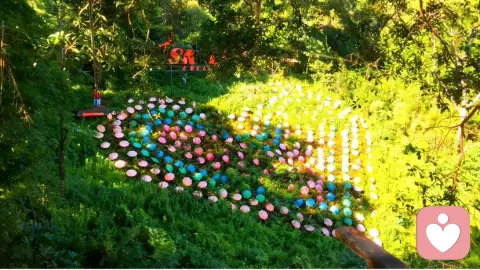 从“依恋”缺失到“执着”成瘾:我们向外索求的,究竟是什么?