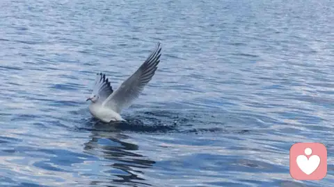 平心静气，是一生最好的风水