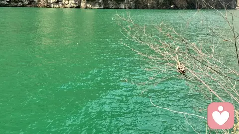 剧烈变革的社会我们该怎么办