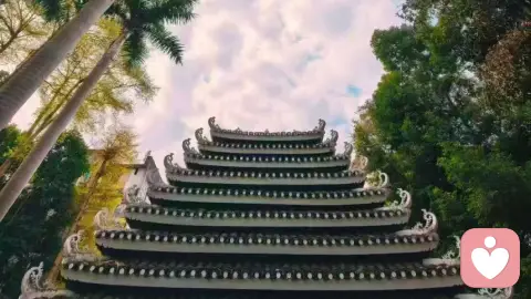 亲戚关系里的情绪容器,越努力越内耗