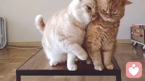 最好的婚姻既谈钱,也谈爱