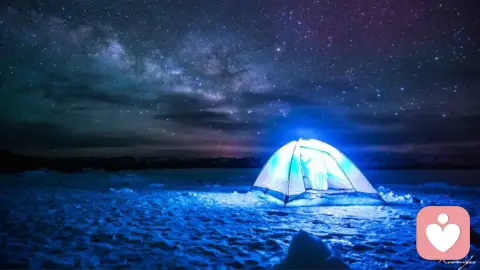 人性法则下的生存空间：清醒立身，柔软守界