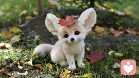 你养宠物的方式，暴露了你的原生家庭