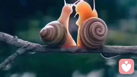 你希望被看见还是被理解