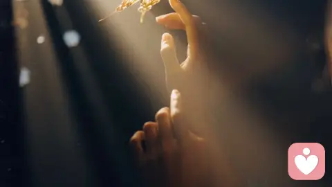 越着急翻盘，越容易被困住｜这不是你的错，只是陷入了心理循环