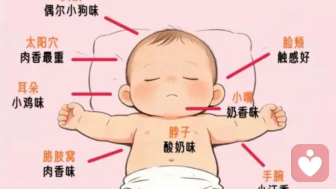 灵魂孩子般可爱