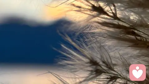 你的格局，藏在“不喜欢”的抽屉里