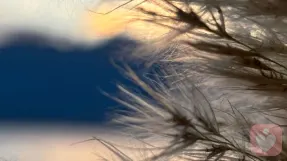 你的格局，藏在“不喜欢”的抽屉里