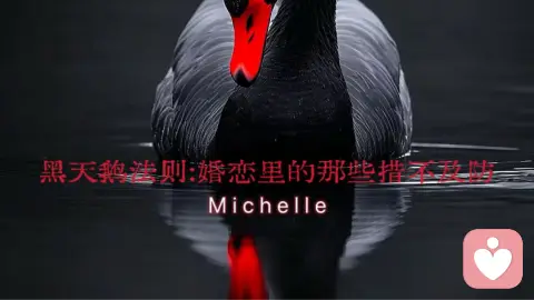 黑天鹅法则:婚恋里的那些措不及防