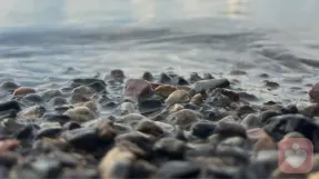 亲密关系里，有一种高级的状态叫“情绪单身”