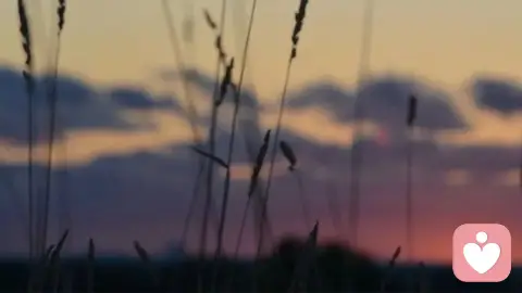 男人创业的苦，从来都不在脸上，而在无人看见的心底