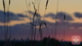 男人创业的苦，从来都不在脸上，而在无人看见的心底