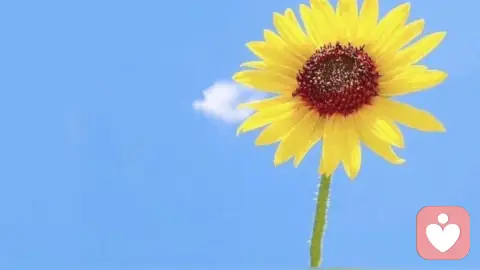 倾听师谈性取向认同