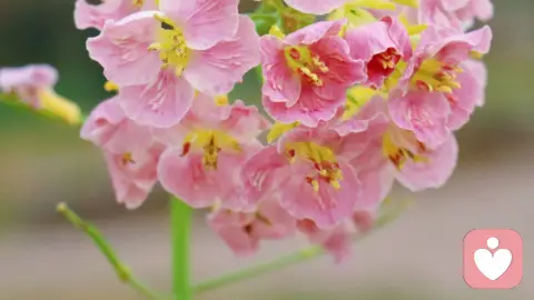 钱和性可以看透一个人的本质