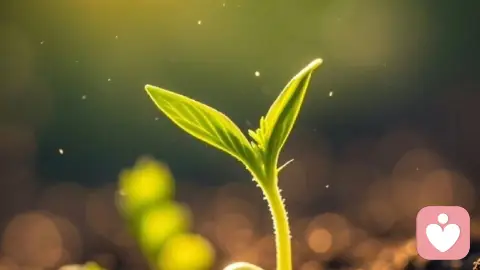 我们都曾困在「即时快乐」里：不是懒惰，是没找到对抗虚无的底气