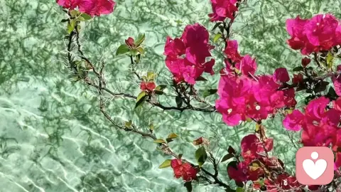 你的善良 必须带点锋芒