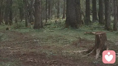 你家“祖传代码”，今天又出BUG了吗