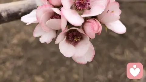 接纳真实的自己