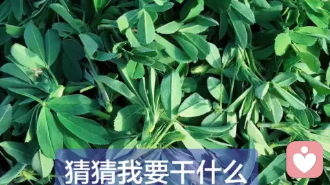 与过去的伤 温柔和解