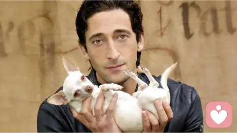 100个心理学效应，揭示人性的真相之（二）