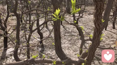 为什么总是懊悔过去