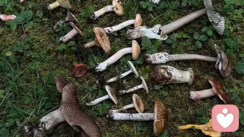 你居然讨厌一份养活你的工作，却爱着一个从未养过你的人