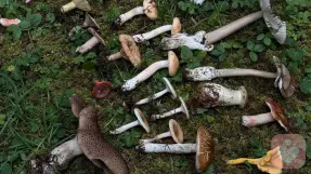 你居然讨厌一份养活你的工作，却爱着一个从未养过你的人