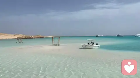 当心跳能被科学解释，爱还剩下什么？