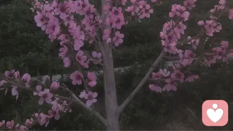 闲你穷怕你富的人性困局