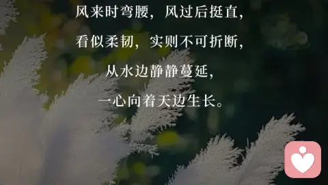 攻击性，是女性刻在骨子里的主体性光芒✨